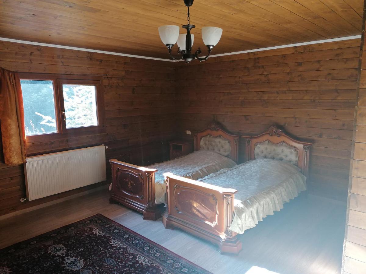 Pensiunea Perla Maramuresului Borşa Exterior foto