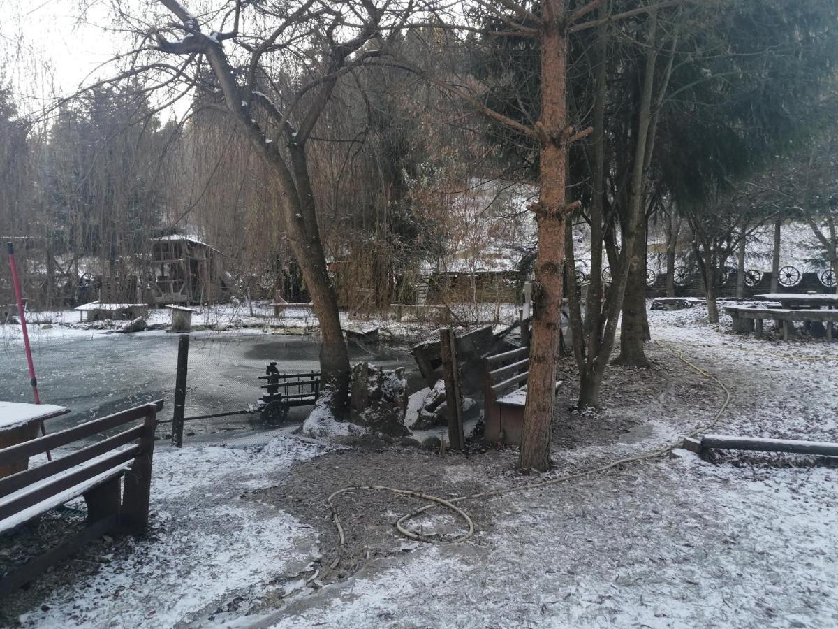 Pensiunea Perla Maramuresului Borşa Exterior foto