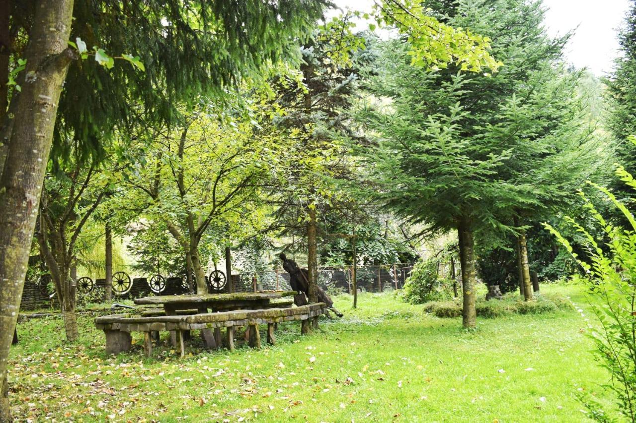 Pensiunea Perla Maramuresului Borşa Exterior foto