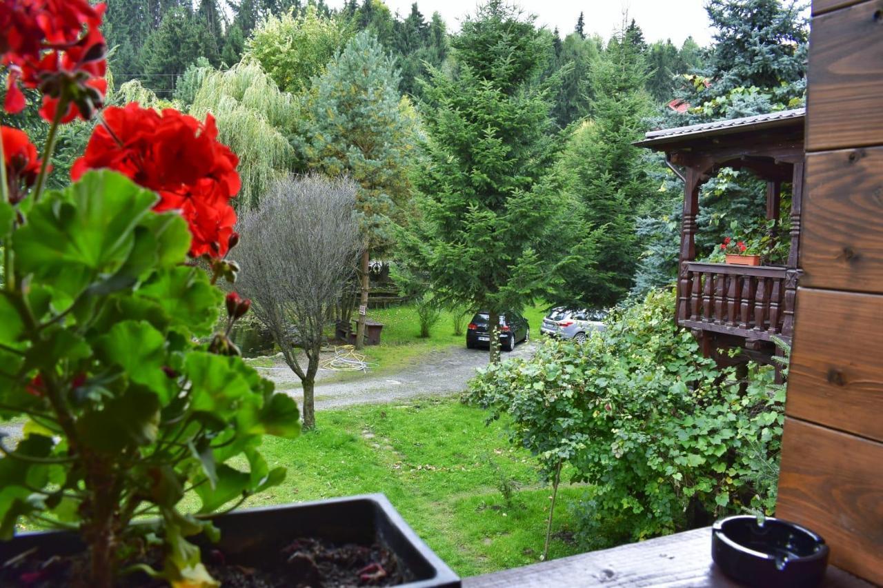 Pensiunea Perla Maramuresului Borşa Exterior foto