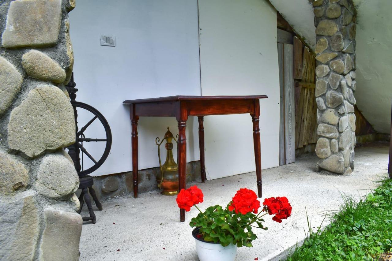 Pensiunea Perla Maramuresului Borşa Exterior foto