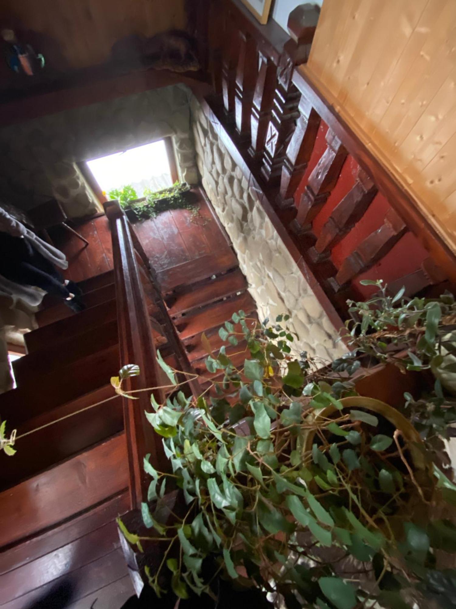 Pensiunea Perla Maramuresului Borşa Exterior foto